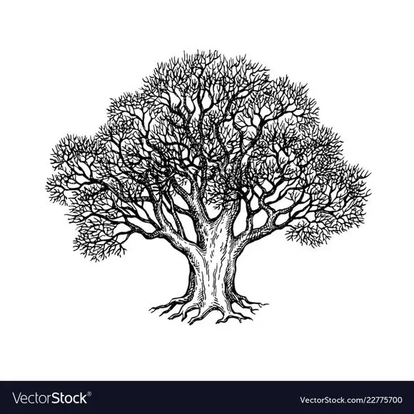 $3 Label - Picture 1 of 1